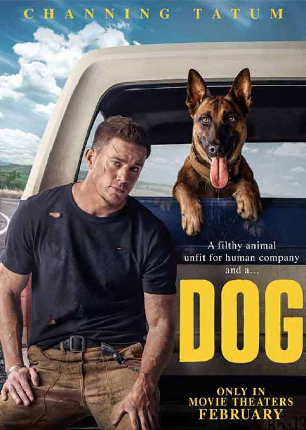 Dog