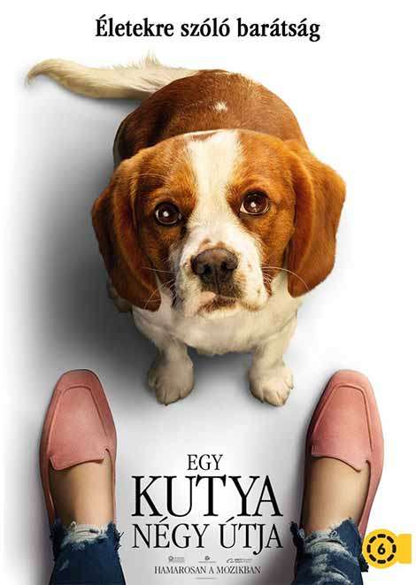 Egy kutya négy útja