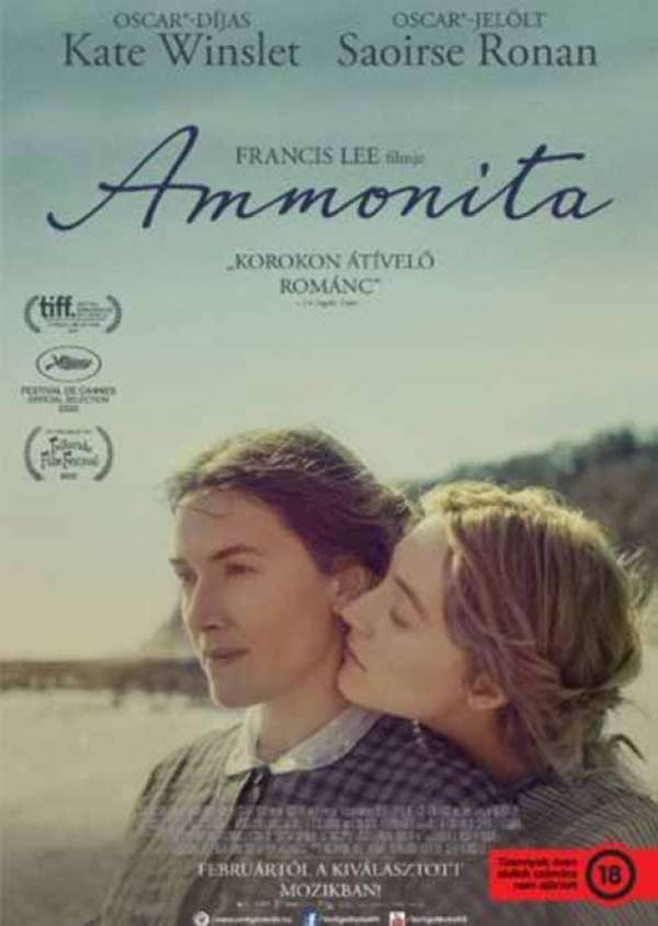 Ammonita